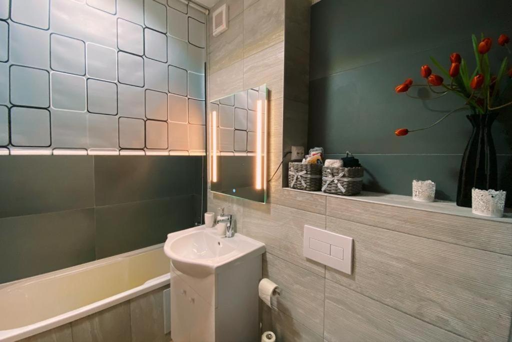 Apartament Smiley Apartment Сигишоара Екстериор снимка